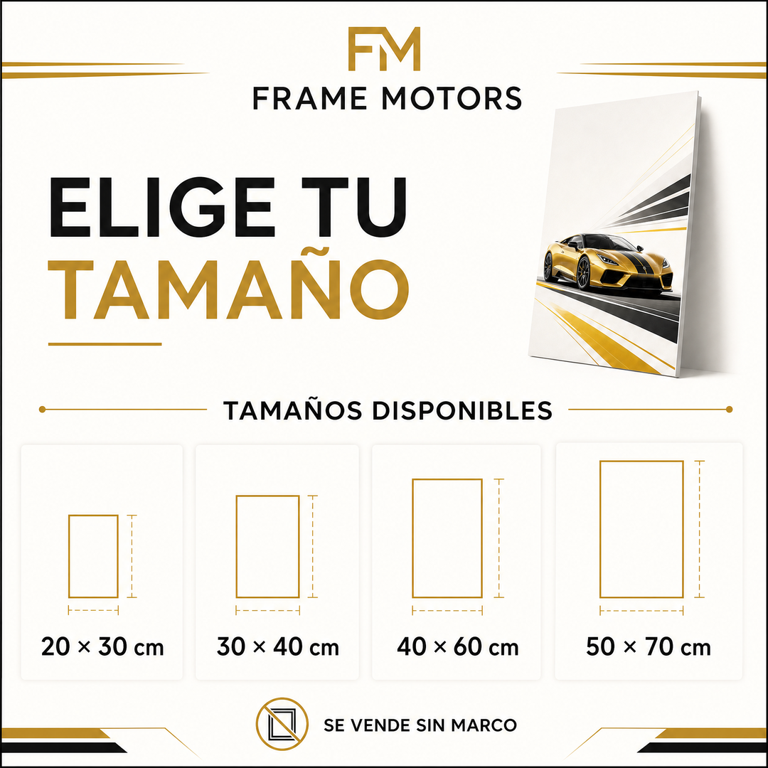 Cuadros Decorativos de Coches Premium